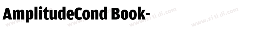 AmplitudeCond Book字体转换